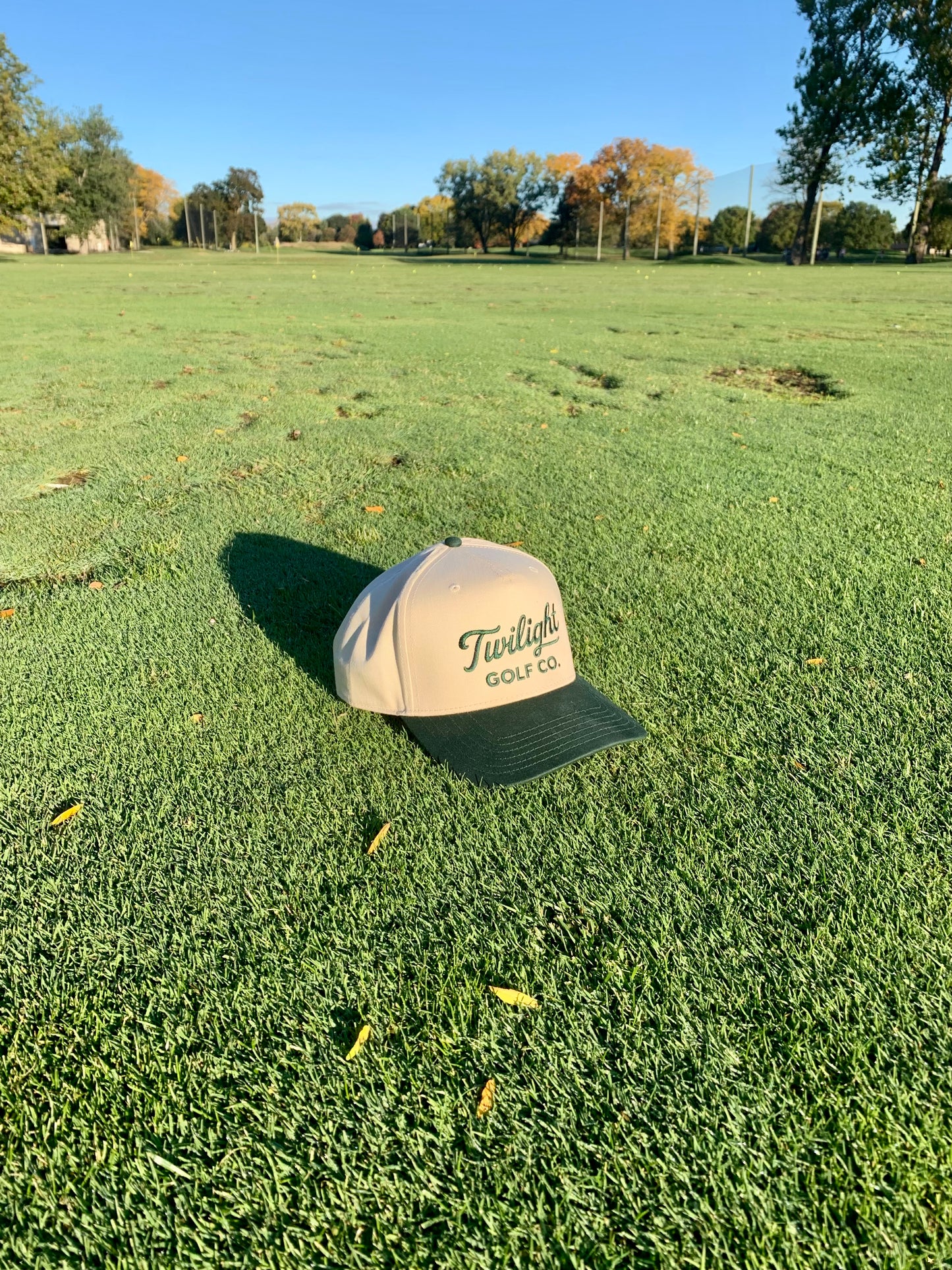 Twilight Golf Script Two Tone - Green/Cream